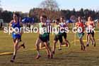 Senior mens 2025 Northern Cross Country Champs, Tatton Park, Knutsford, Cheshire. Photo: David T. Hewitson/Sports for All Pics